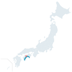 Kochi