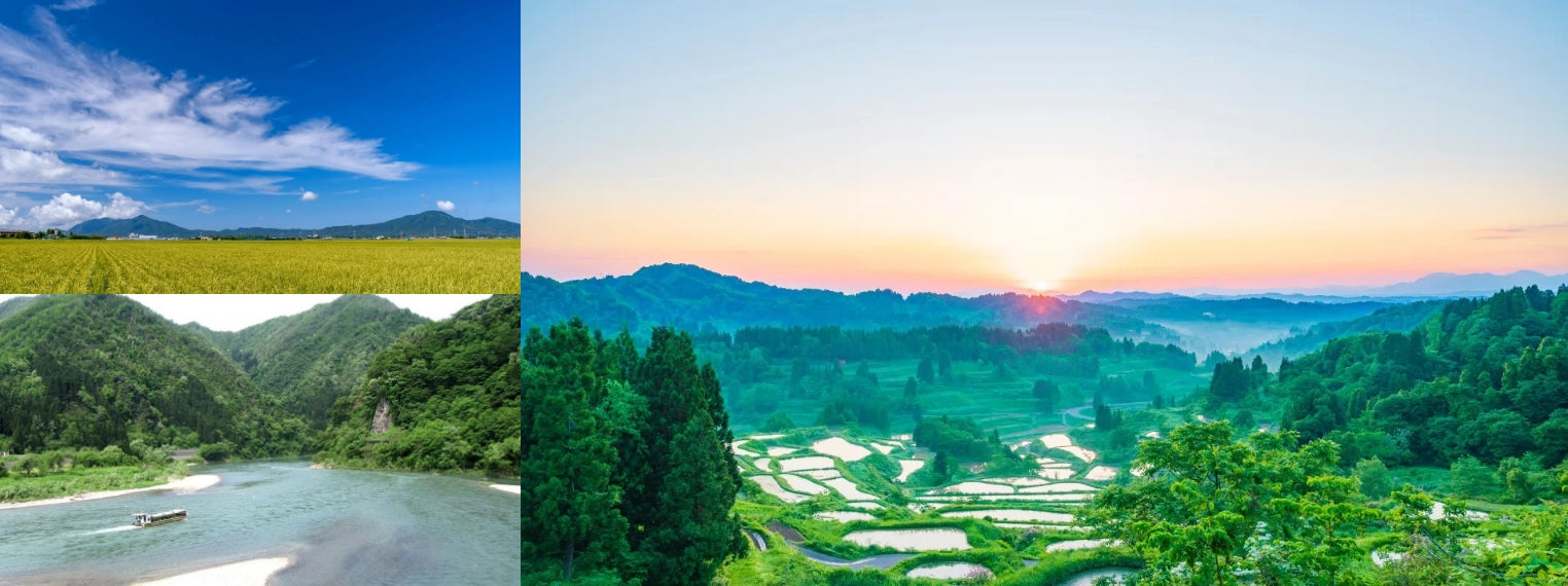 Discover the Best of Niigata