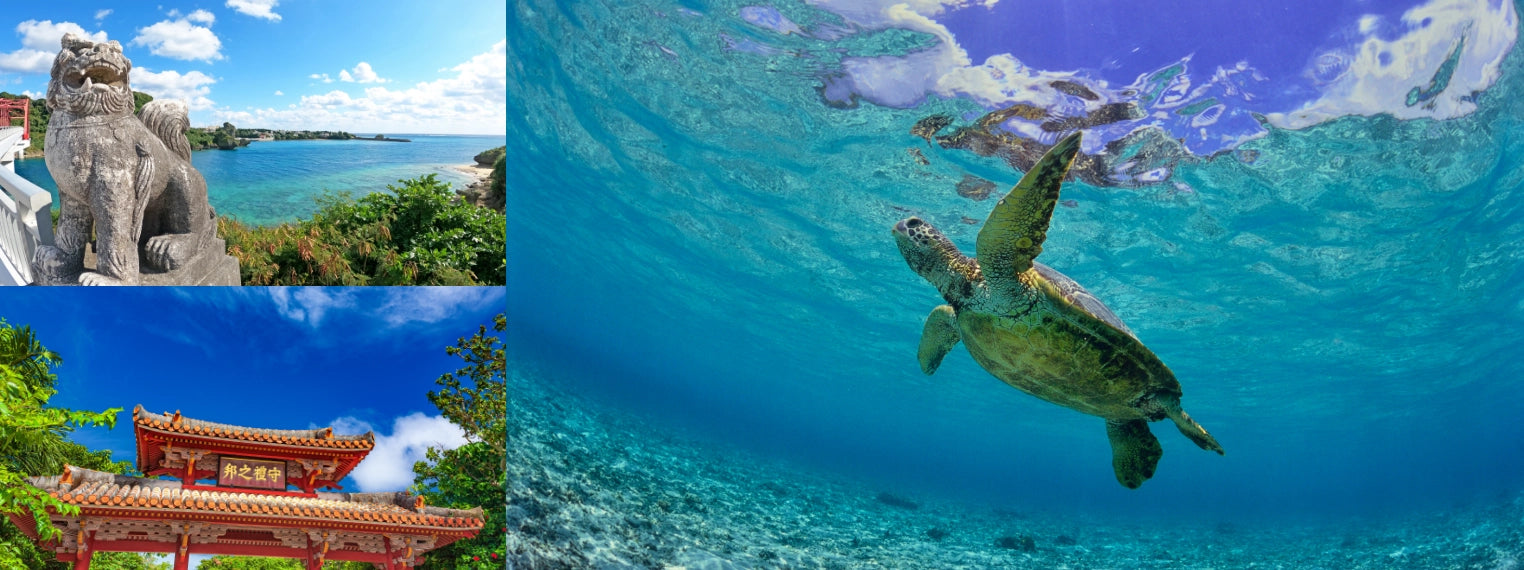 Discover the Best of Okinawa Alcoholic Beverages