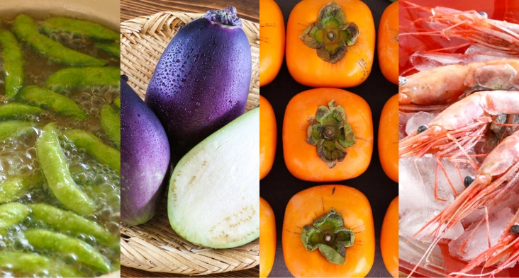 Rich Natural Resources